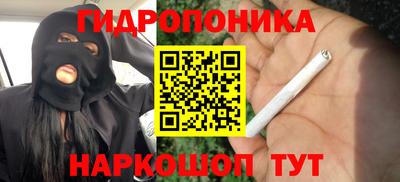 МДПВ Татарск