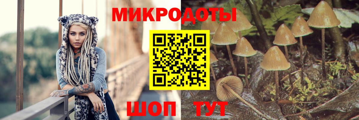 Таганрог  Псилоцибиновые грибы Cubensis  Вход с VPN 